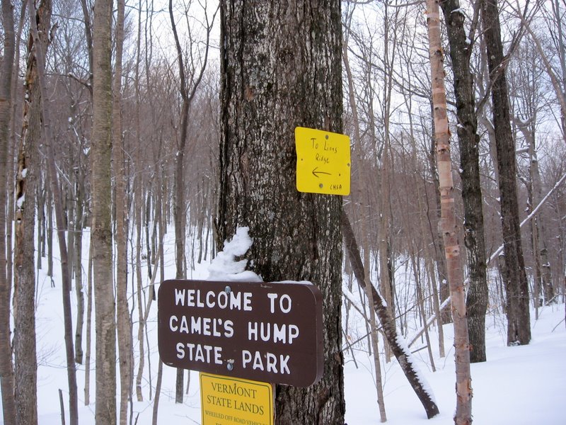 Camel's Hump Nordic Ski Area Trail Finder